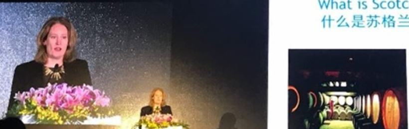 stage projecting presenter in the background