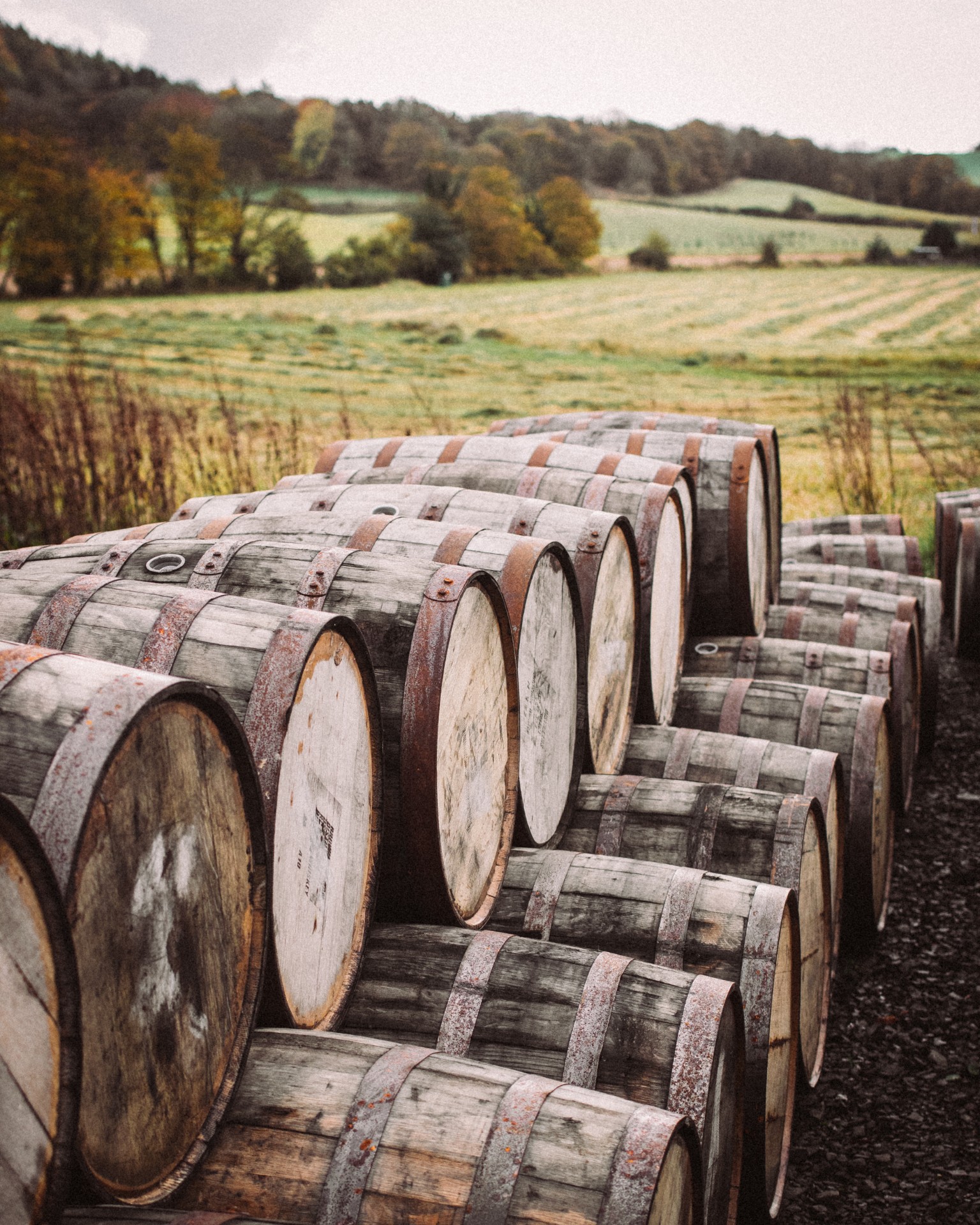 Guidance: Personal investment in a Scotch Whisky Cask