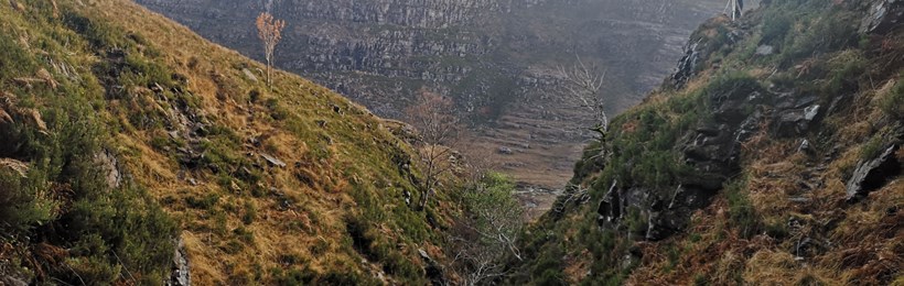 Caring for the Land