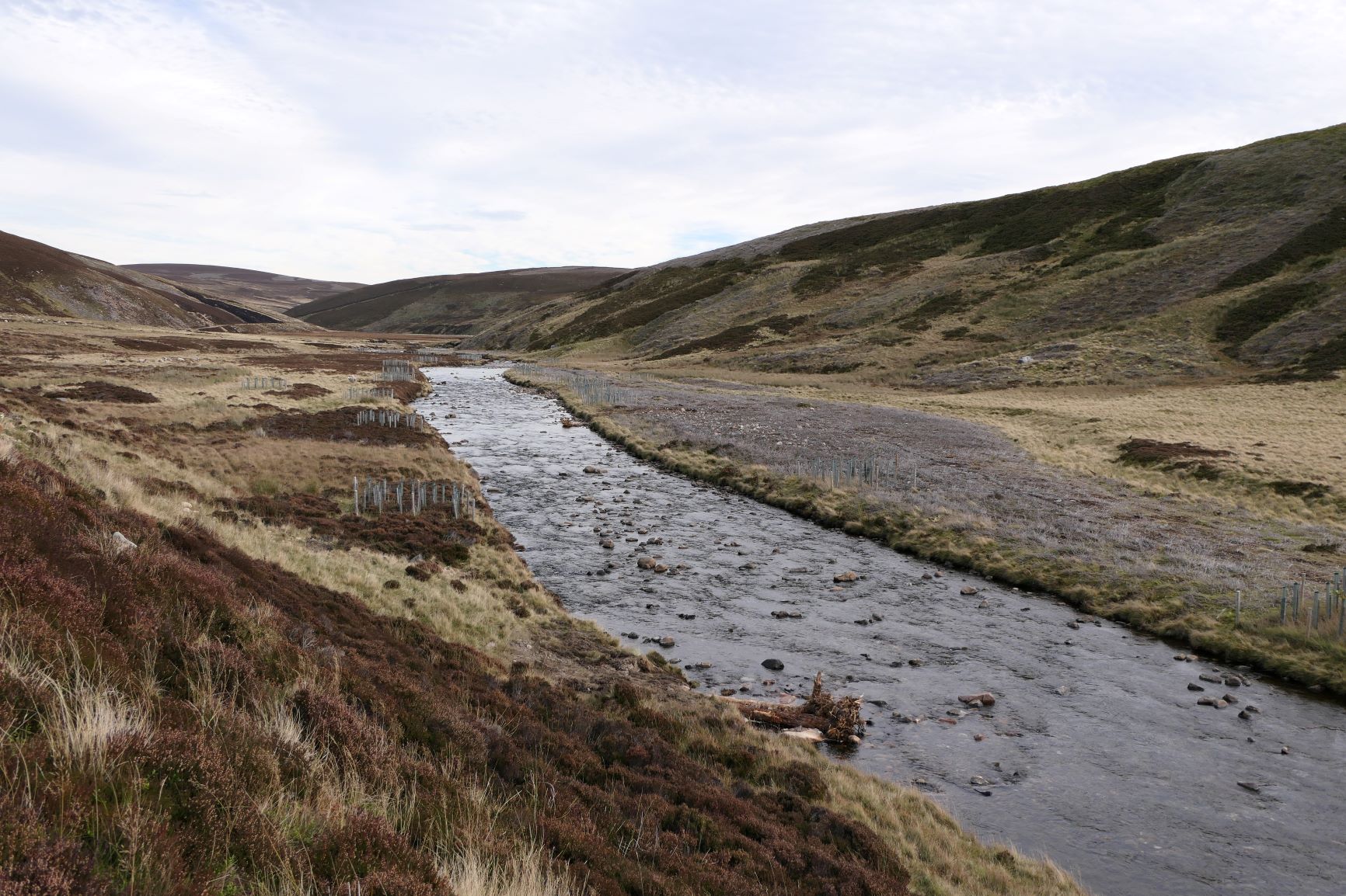 River Gairn, Dee catchment © Sarah Robinson